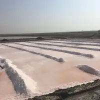Raw Salts