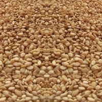 Yellow Sesame Seeds