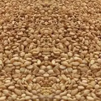 Yellow Sesame Seeds