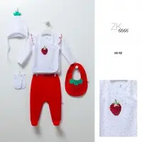 strawberry Ber04