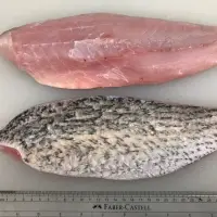 Fresh Baramundi, Goldband Snapper Fillet