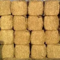 Wheat Straw