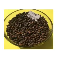 Black Pepper