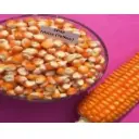 Yellow Maize