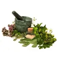 Organic Medicinal Herbs