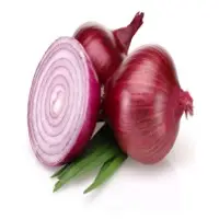 Onion