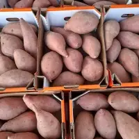 Evenglaine Sweet Potatoes
