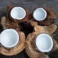 Fresh Coconut