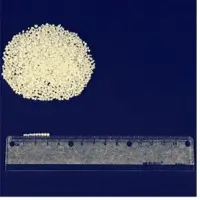 Porous Prilled Ammonium Nitrate