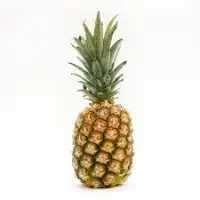Fresh Pineapple