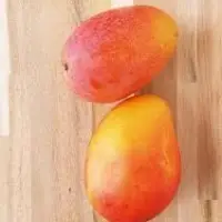 Fresh Mango