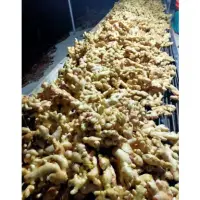 Ginger