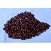Haricot Bean