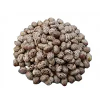 Castor Seeds