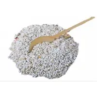 Sunflower Seeds