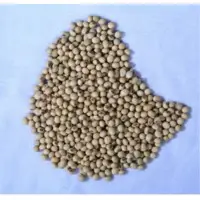 Soybean