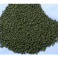 Green Mung Bean