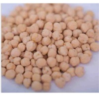 Kabuli Chickpeas