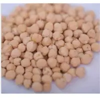 Kabuli Chickpeas
