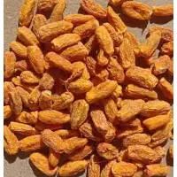 Dry Dates
