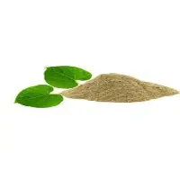 Giloy Extract