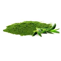 Aloe Vera Extract