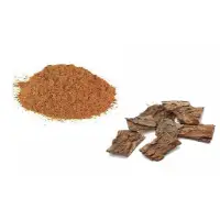 Neem Bark Extract