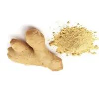 Ginger Extract