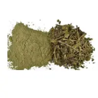 Gurmar Extract