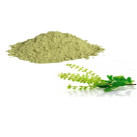 Tulsi Extract