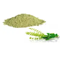 Tulsi Extract