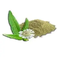 Bhringraj Extract