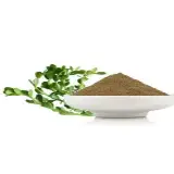 Brahmi Extract