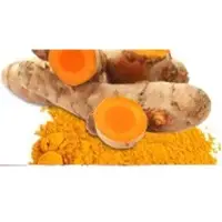 Curcuma Longa Extract