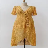 Ladies Dress