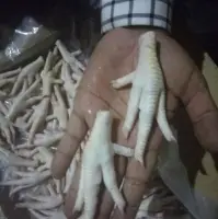 Chicken Feet And Paws