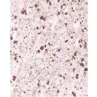 White galaxy granite