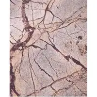 Fancy brown sandstone