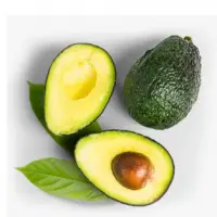 Avocado Fruit