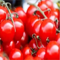 Tomatoes