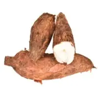 Tapioca