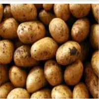Potatoes