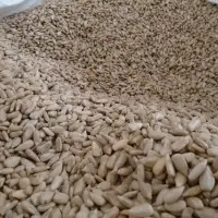 Sunflower Kernels