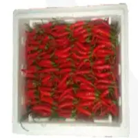 chiLi Pepper