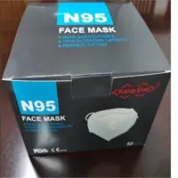 N95 Face Mask