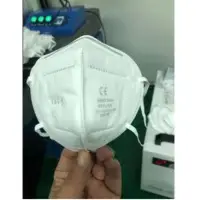 N95 Face Mask