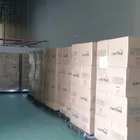 3 Ply Non-Fabric Disposable Mask