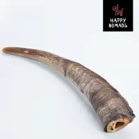 Goat horn M size 8"-10" 1 pc - 125 gr