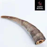 Goat Horn XL size 12" 1 pc - 220 gr