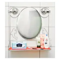 Shape Dolphin Shelf Mirror